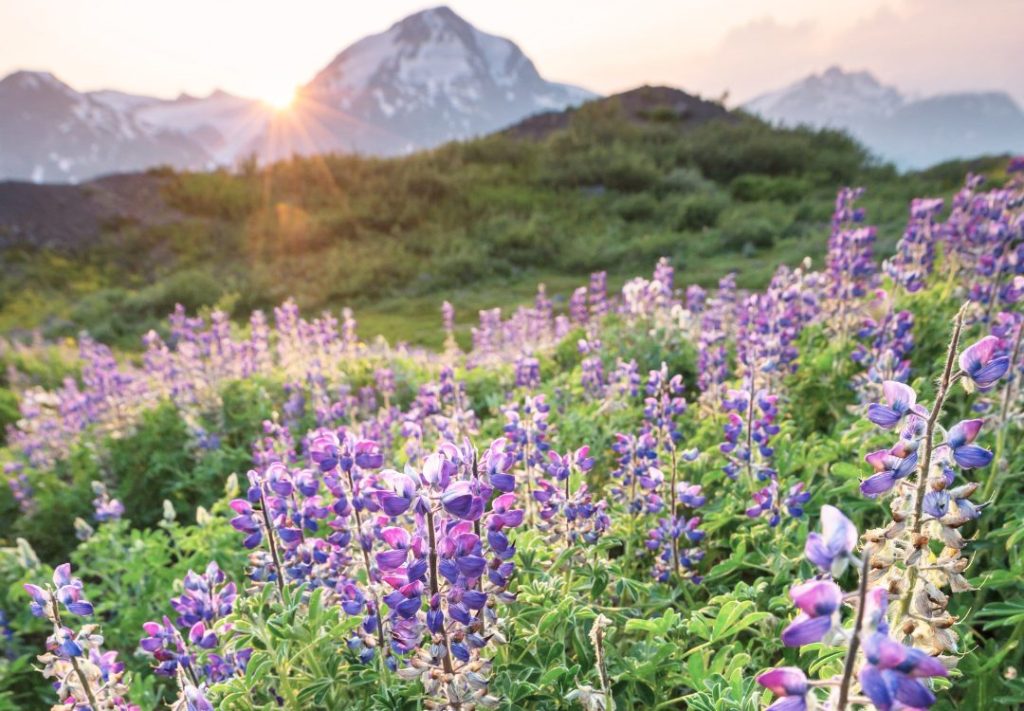 Christ-based Meditation Series